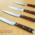 Makami Premium 4 Steakmesser